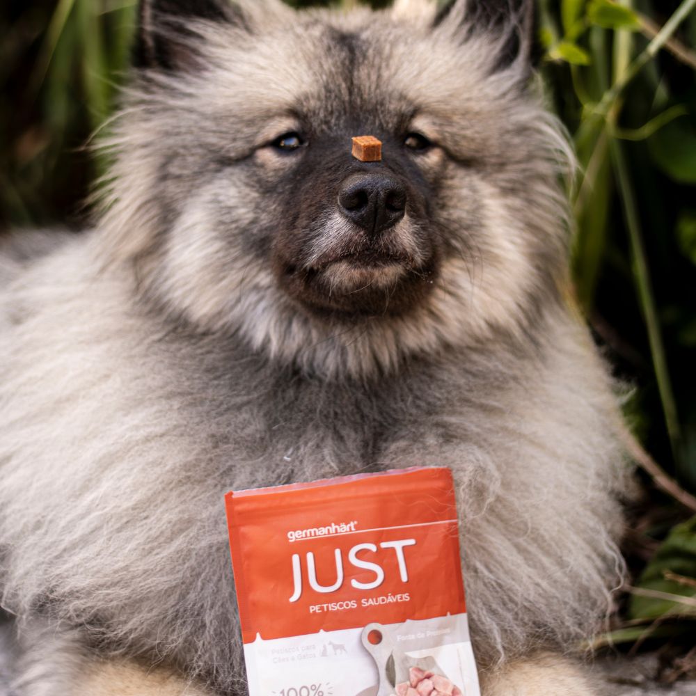 PETISCO JUST - CUBOS PATO