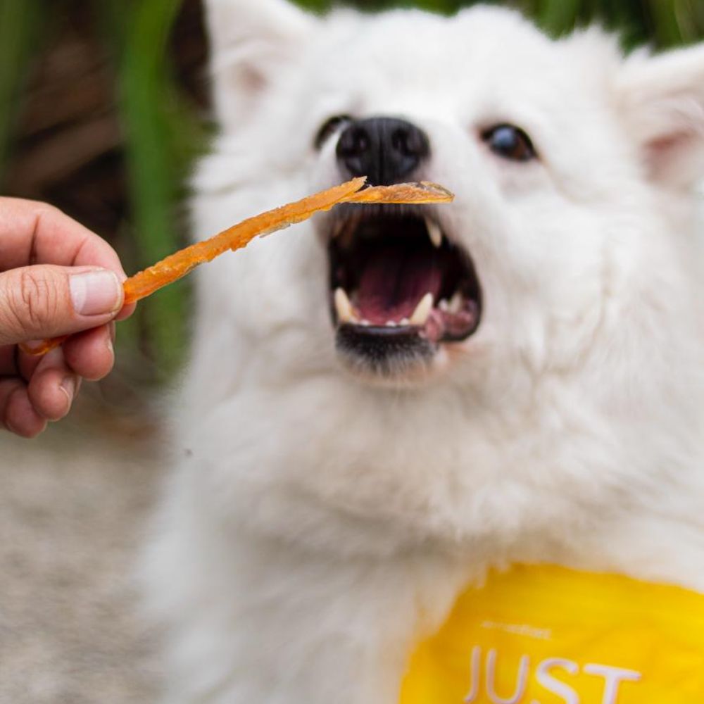 PETISCO JUST - SLICE FRANGO