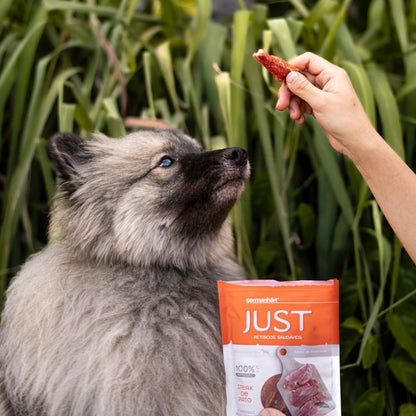 PETISCO JUST - STEAK DE PATO