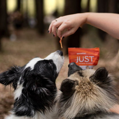 PETISCO JUST - SLICE MIX PATO E FRANGO